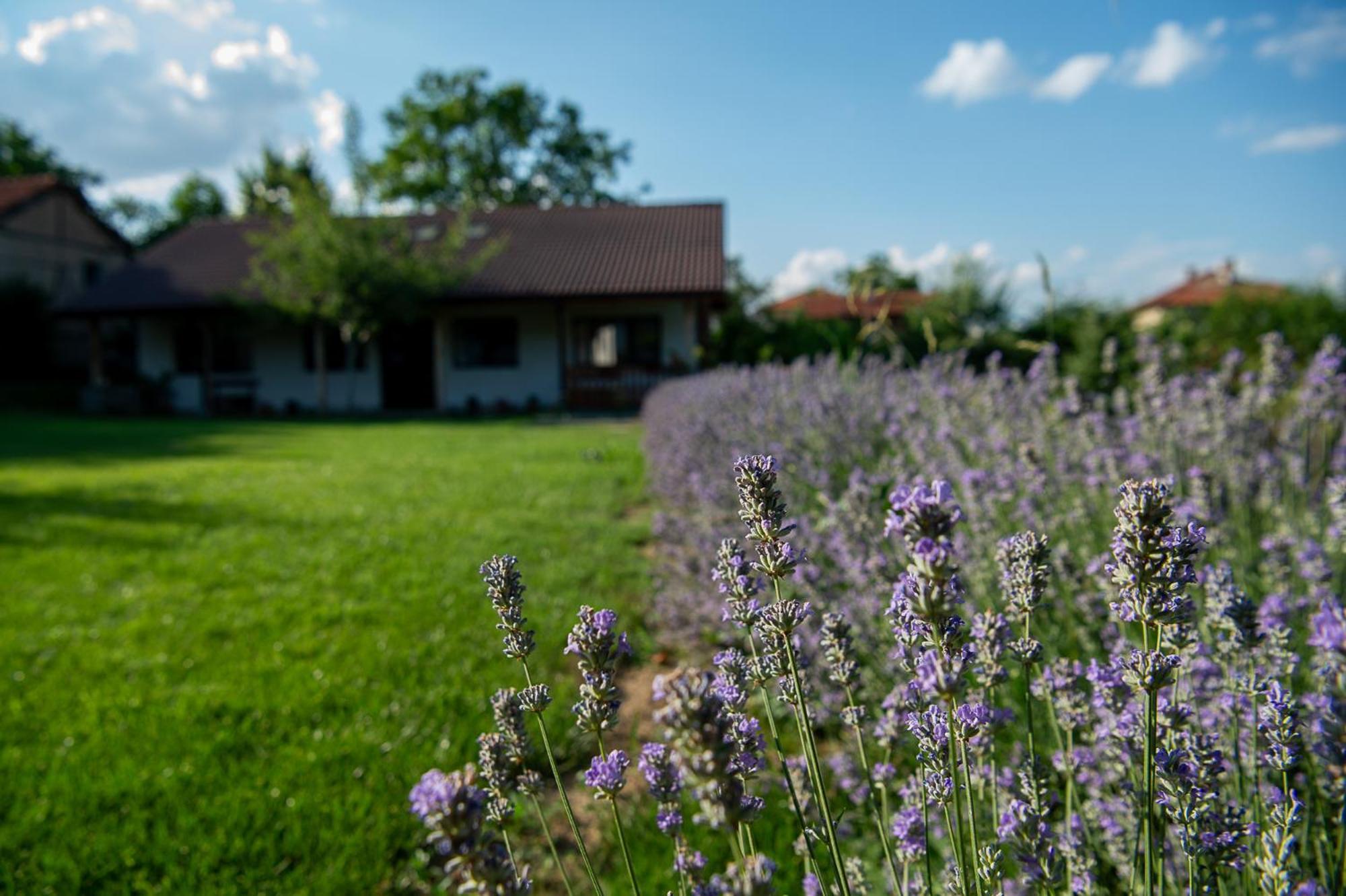 Walnut Cottage 1 Deredzhik-Koy Eksteriør bilde